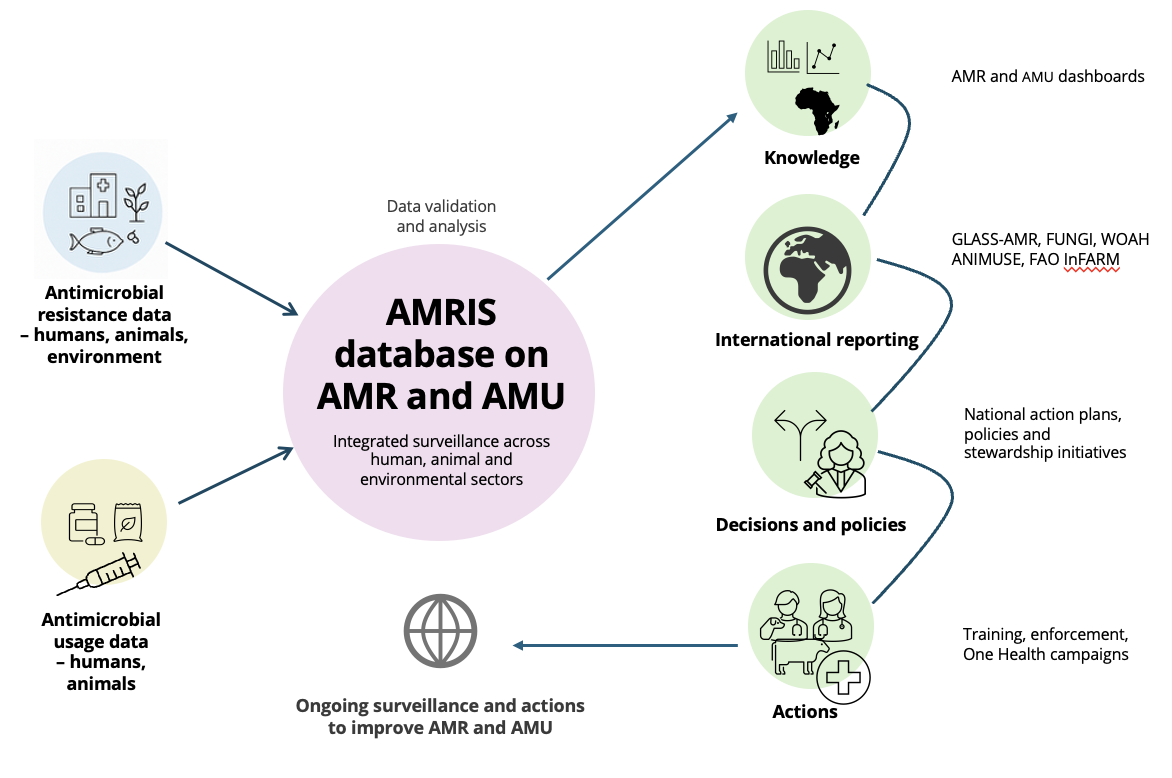 AMRIS Data Flow Diagram
